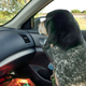 Ellie is a great navigator, but wasn’t too impressed with scenery of Rte 79 in Texas heading towards I-20.
